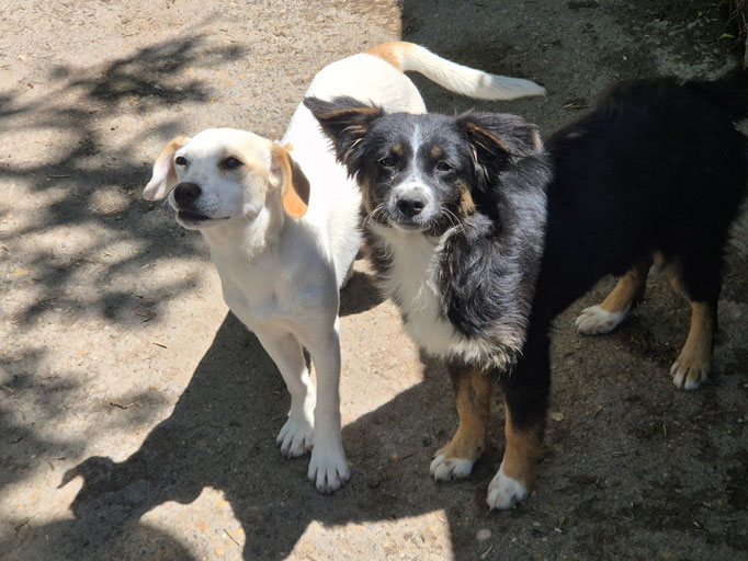 Penny und Gemma