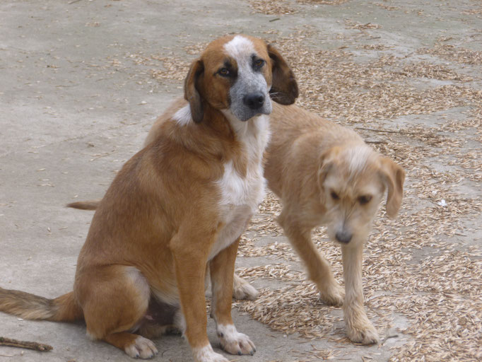 Bruno und Izabel
