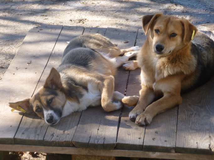 Schwester Tonya und Tino