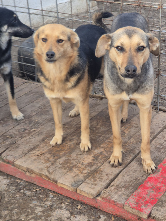 Vaya und Valery im Januar 2026