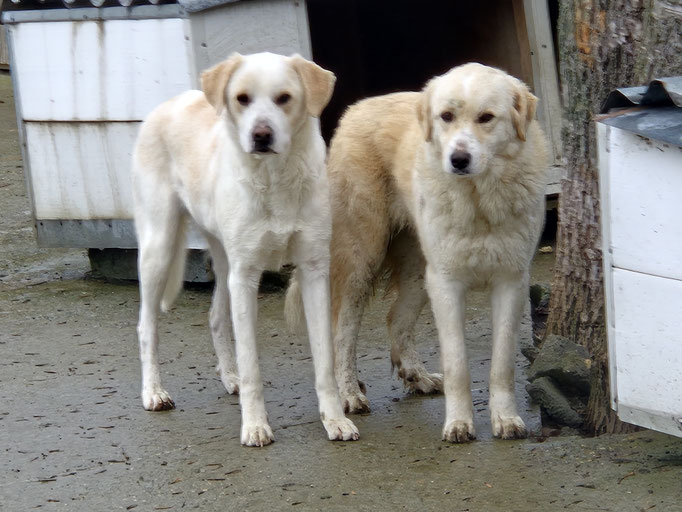 Barni und Olimpia