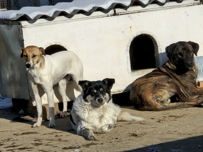 Roxane, Elma und Boris 