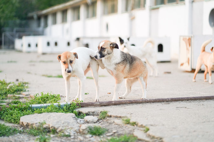 Roxane und ihre Schwester Roxy
