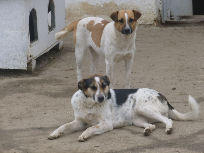 Vanessa mit ihrer Schwester Vivian (liegend)