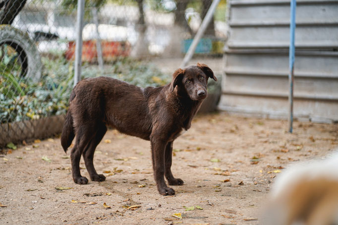 im Oktober