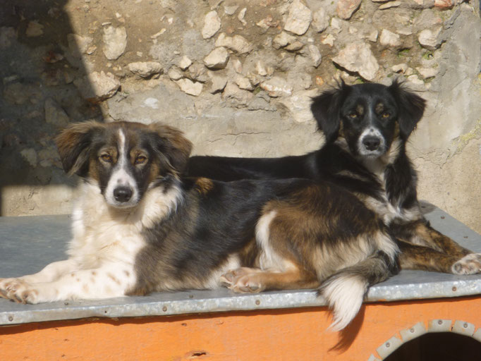 mit ihrem Bruder Sammy (hinten zu sehen)