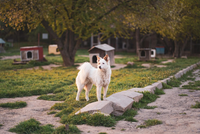 in der Frühlingssonne 2025