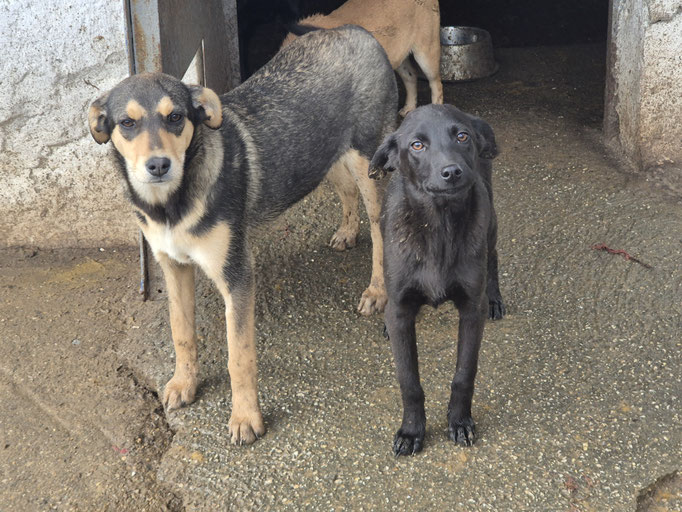 Nola und Agata