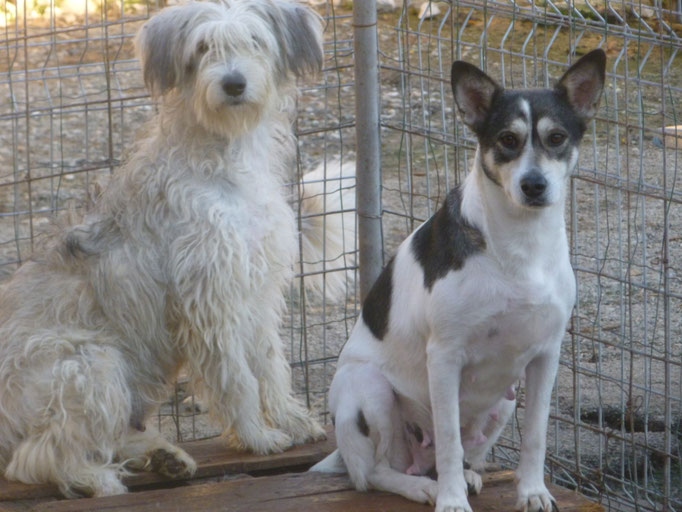 die ungleichen Schwestern Sky und Cleo