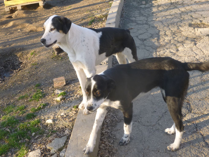 Jaco und seine Schwester July