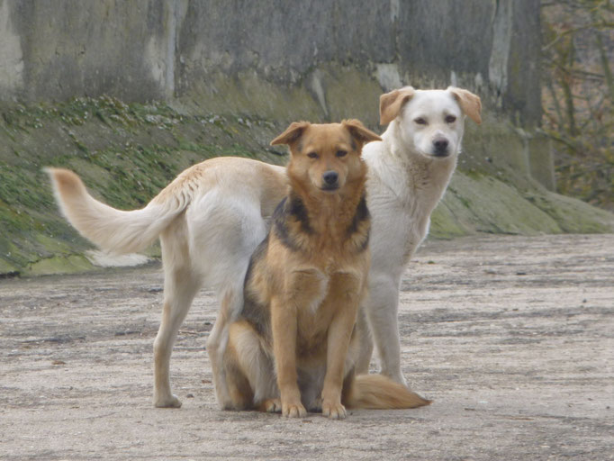 im März mit Schwester Vera