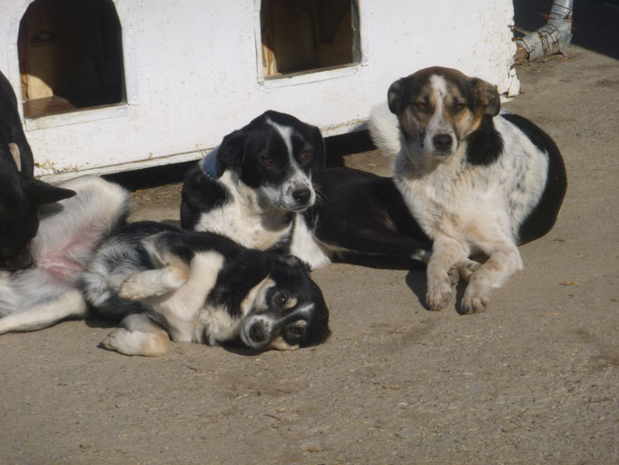 Vivian (rechts)