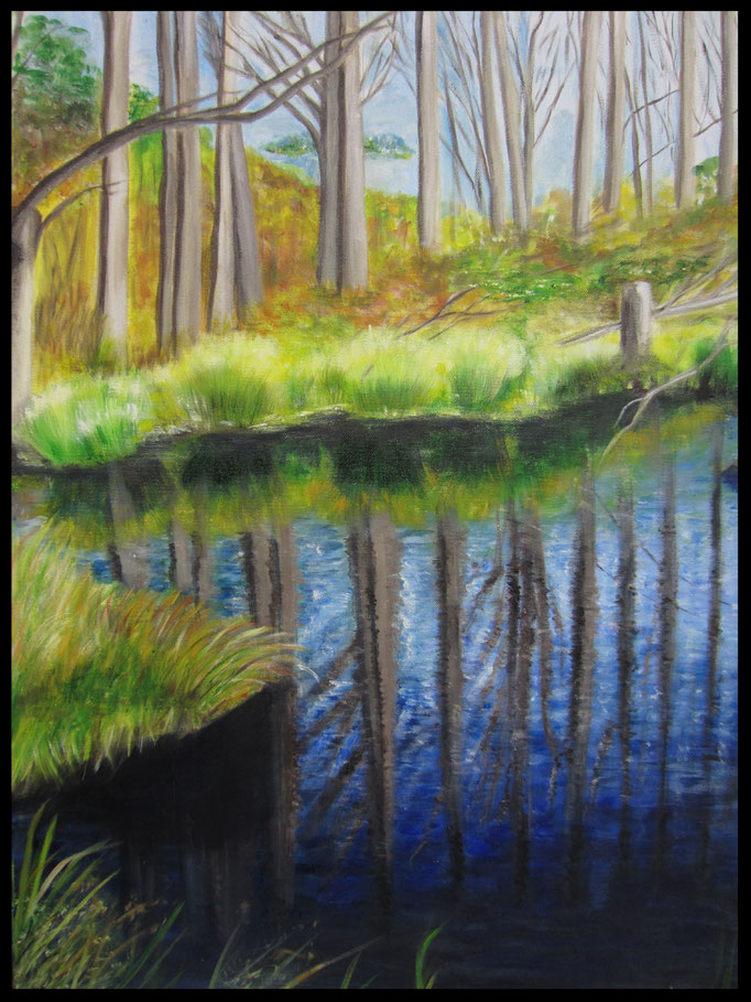 Hombroich 2 - Spiegelung (60x80cm) Nr. 46