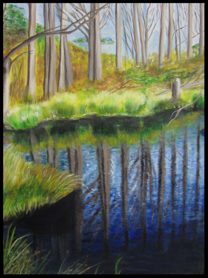 Hombroich 2 - Spiegelung (60x80cm) Nr. 46