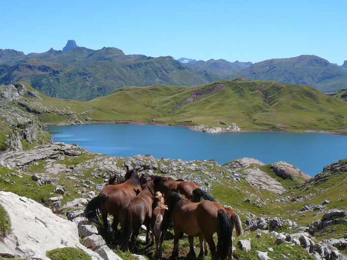 Lac d'Estaens. Somport vallée d'Aspe