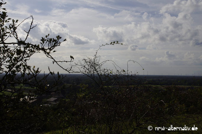 Toller Ausblick auf dem Tecklenburger Bergpfad