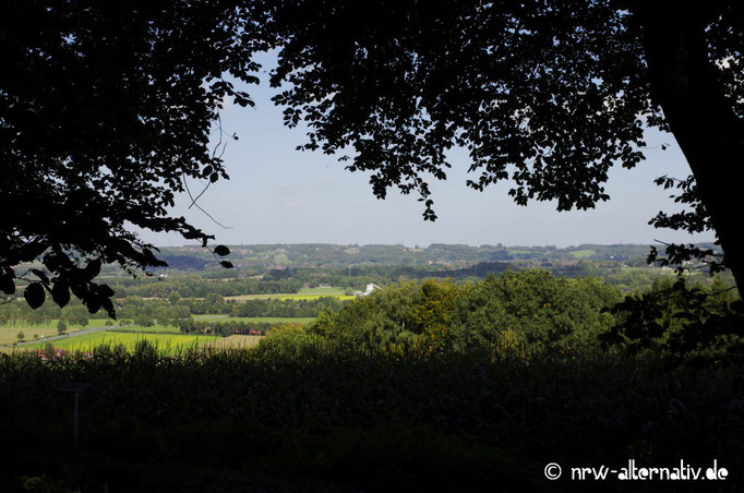 Schöne Aussichten: Der Tecklenbuger Bergpfad.