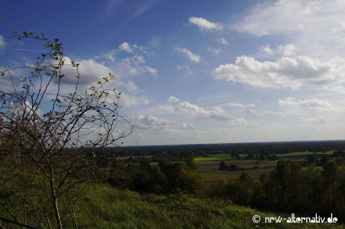 Die Landschaft ist schön am Tecklenburger Bergpfad.