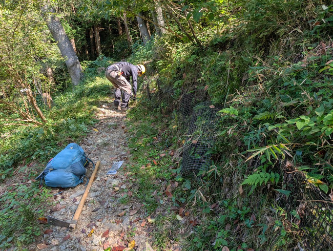 桜坂　トリカルネットの修理