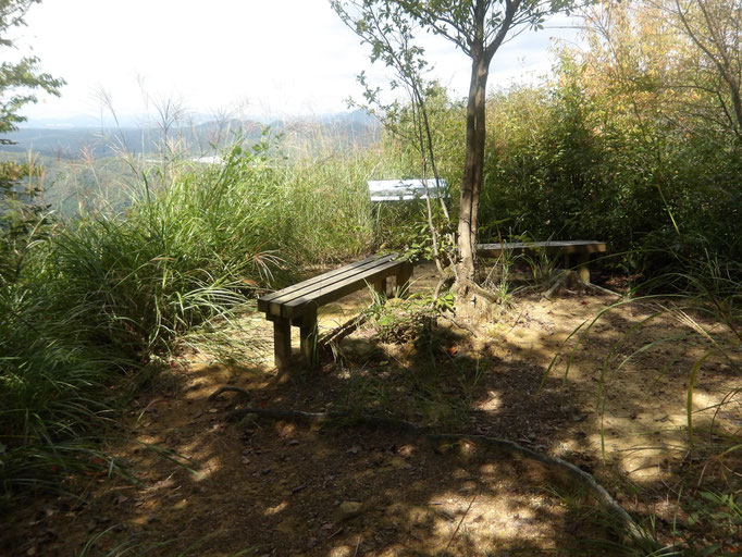 つつじが丘展望所　ススキ繁茂（刈取り前）