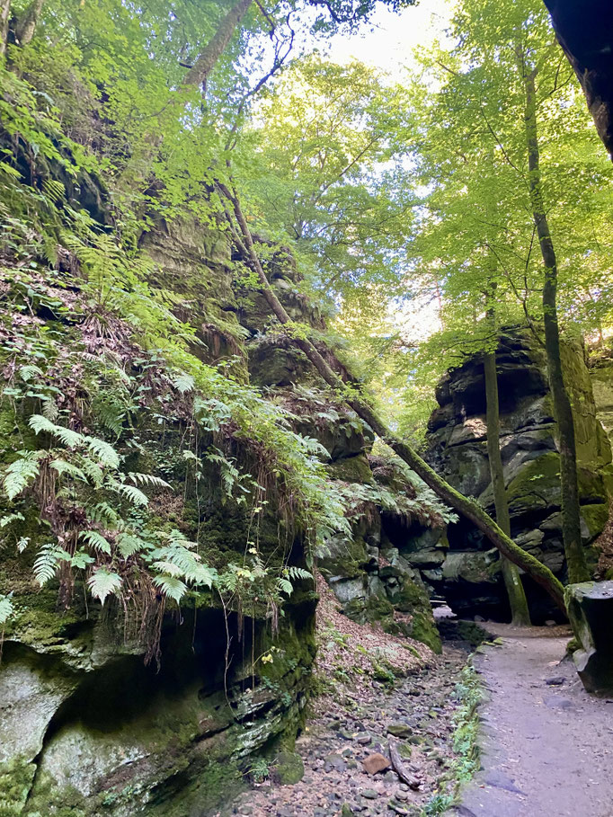 Müllerthal