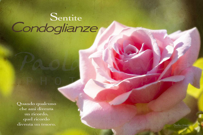 Condoglianze Biglietti Auguri D Autore Per Tutte Le Occasioni