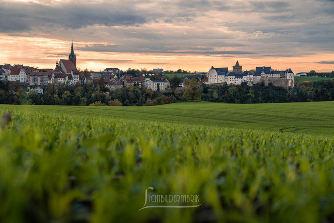 Leisnig - Blick auf Burg Mildenstein 11