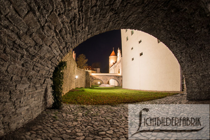 Freiberg - Blick auf Schloss Freudenstein 1