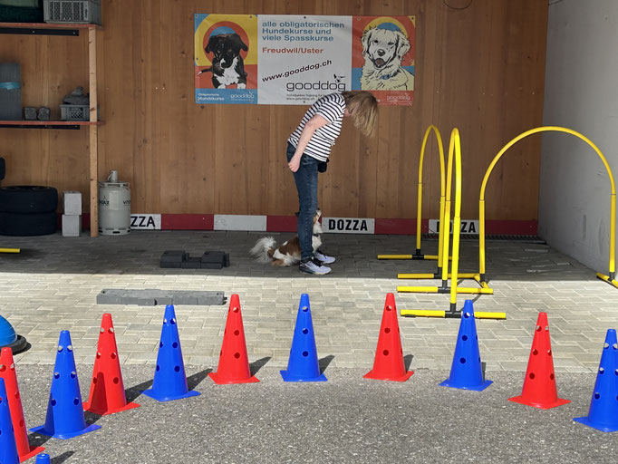 Fitness Loops © Hundeschule gooddog