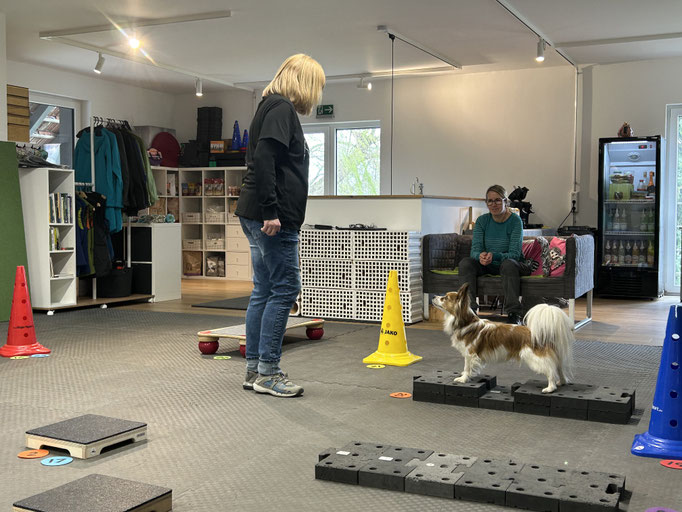 Fitness Loops © Hundeschule gooddog