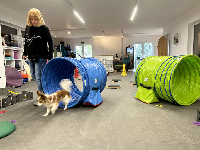 Fitness Loops © Hundeschule gooddog
