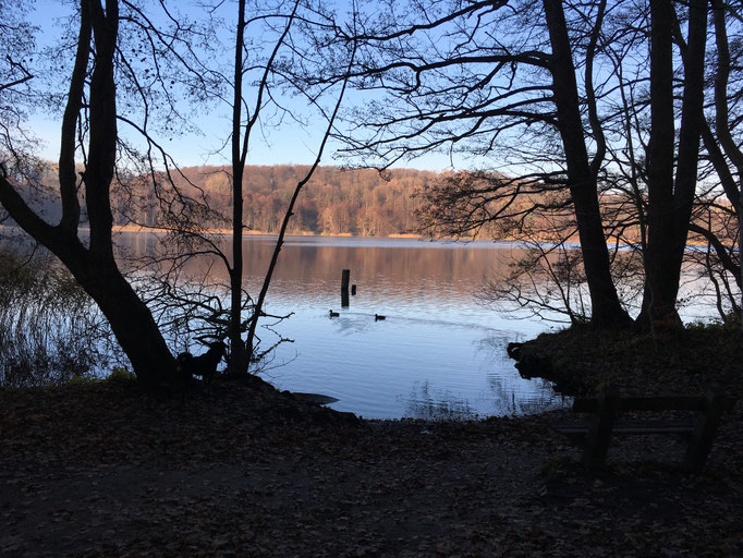 Ratzeburger Küchensee im Herbst/Winter