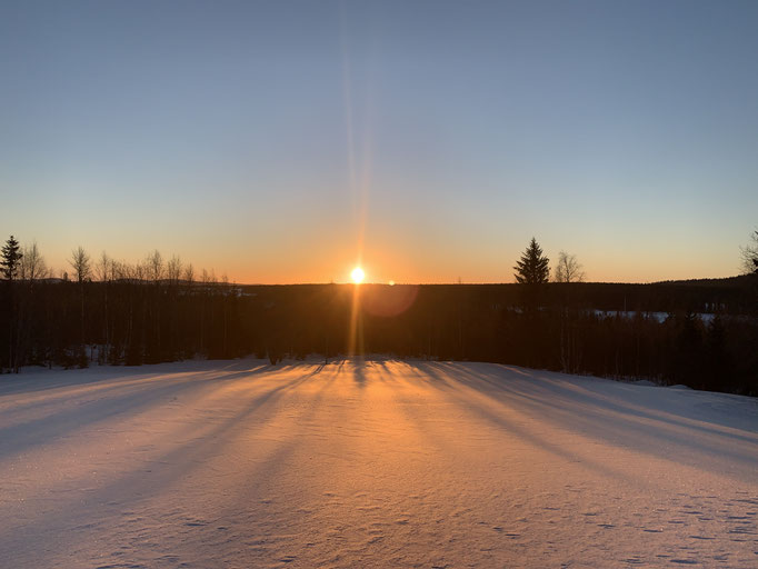 Morgenstimmung 