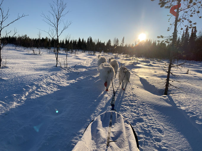 am Skoterled