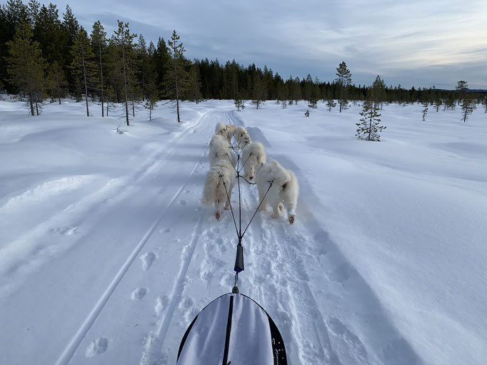 am Trail 