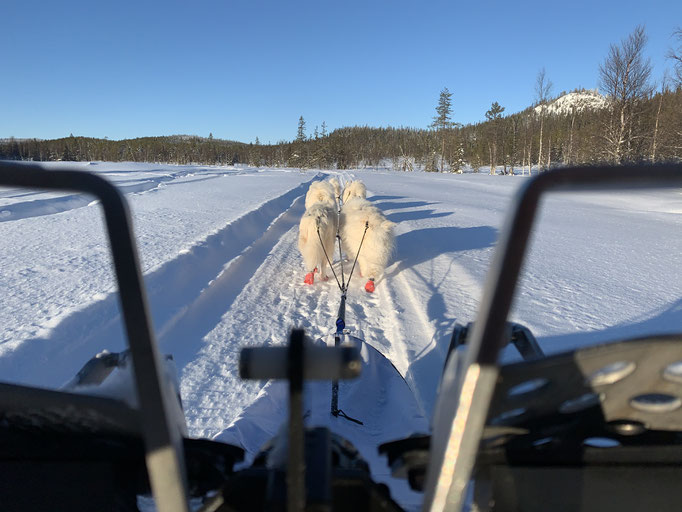 am Trail