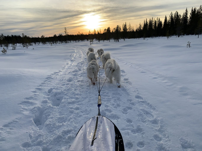 am Trail 