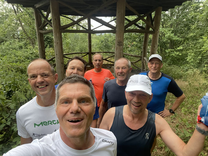 Darmstädter Lauf-Treff, 7-Hügel-Lauf Bild: Michael Knibbe