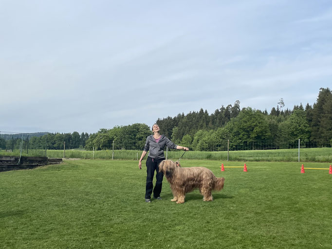 Ringtraining © Hundeschule gooddog