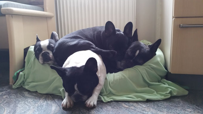 gestapelt haben alle Platz