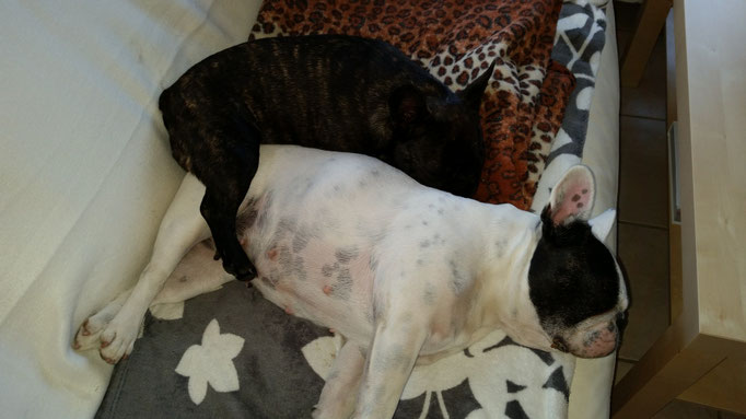 kuscheln mit Mama