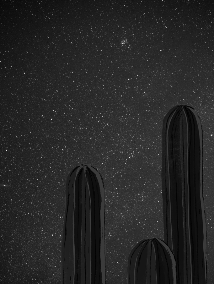 die wüste + nacht [zeichen-tablet]