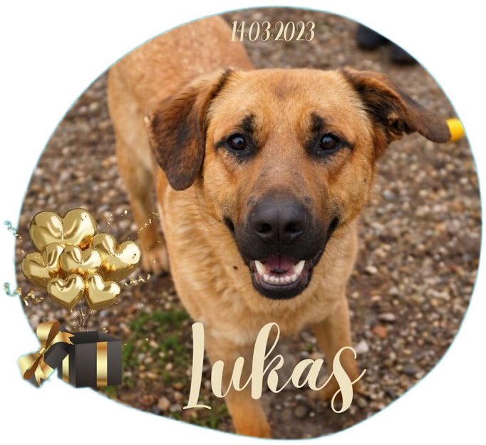 Lukas