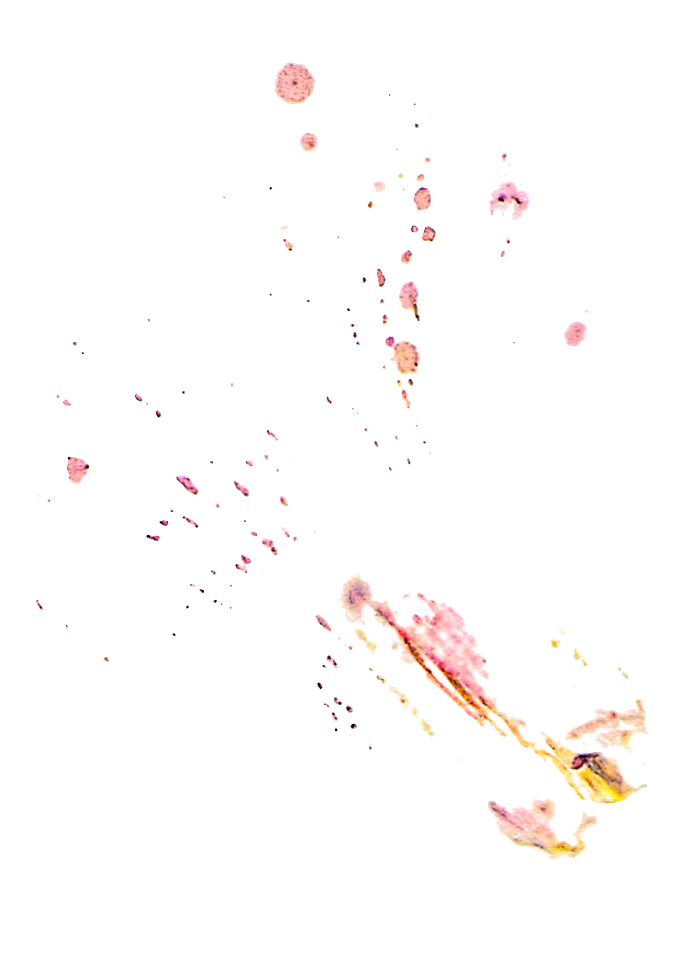 Re-Entry