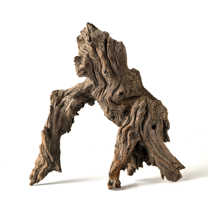 WOOD