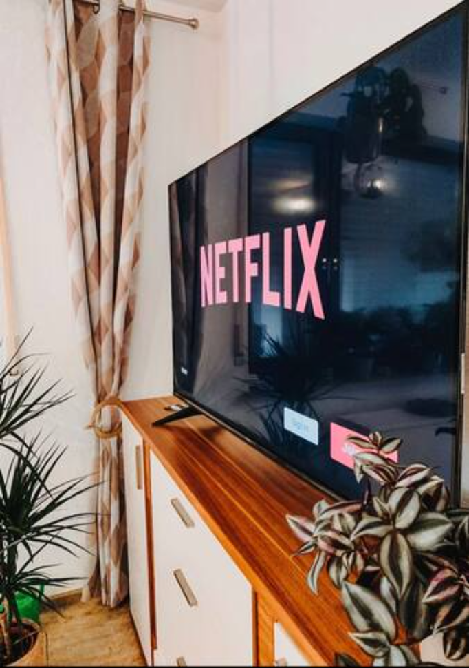 Flachbildfernseher mit aktivierter Netflix-App in unserer Ferienwohnung in Niedersfeld. Der TV steht auf einem modernen Sideboard, umgeben von stilvoller Deko und Zimmerpflanzen – ideal für gemütliche Filmabende.
