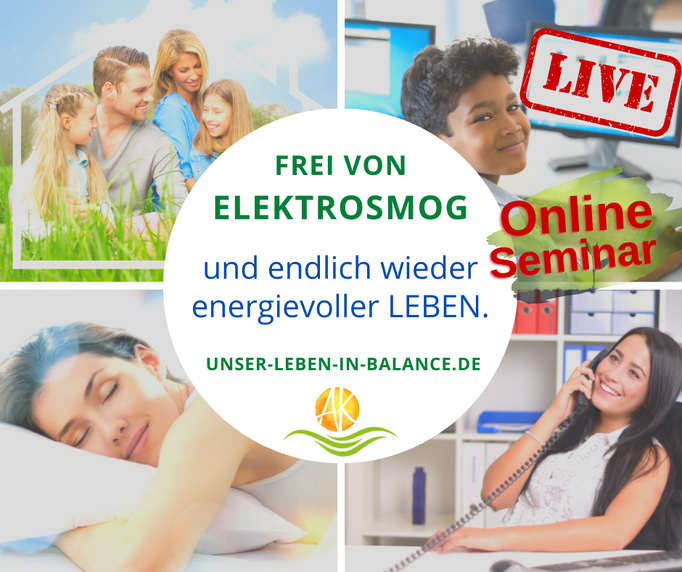 Online Seminar - Elektrosmog