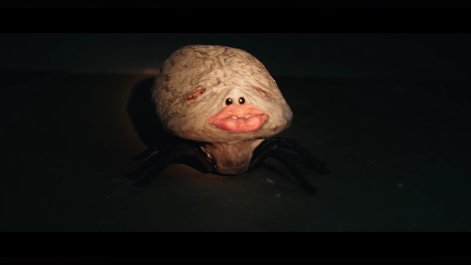 Tick appearance