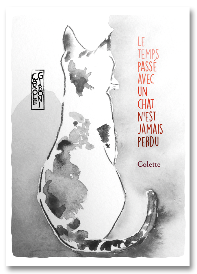 Le temps passé avec un chat PO47