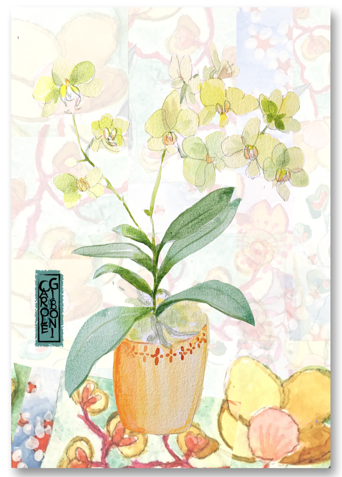 L'orchidée PO38